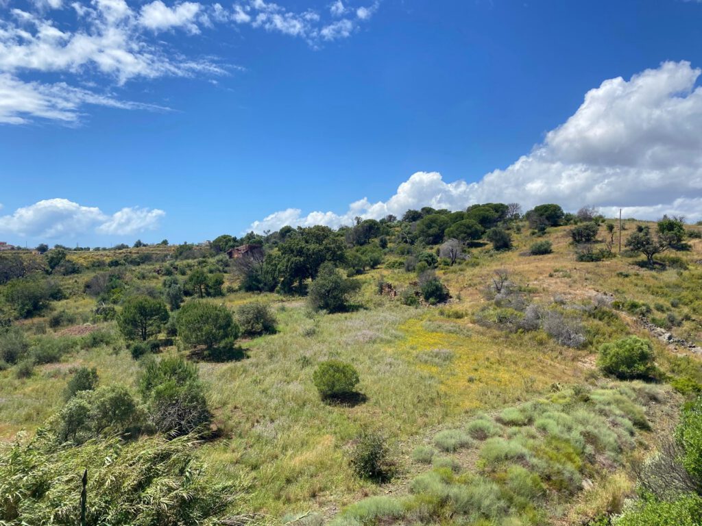 Wandelen zonder doel in het landschap van de Algarve