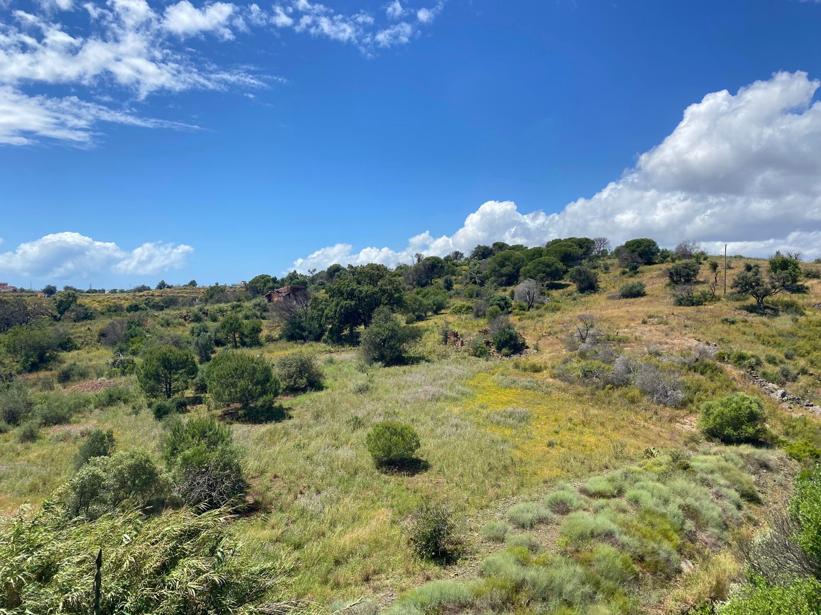 Wandelen zonder doel in het landschap van de Algarve