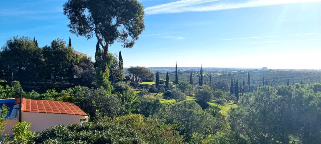 Uitzicht over het groene landschap van de Oost-Algarve, met cipressen, sinaasappelgaarden en de Atlantische Oceaan aan de horizon, op een zonnige ochtend bij Saúde em Algarve.