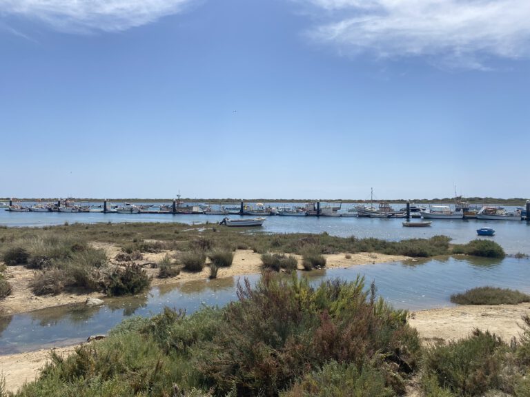 Leven in de Algarve: een ander ritme